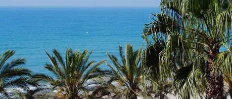 Una spiaggia nelle vicinanze