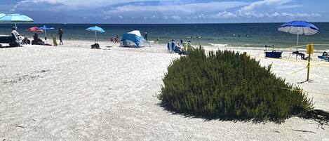 Playa en los alrededores