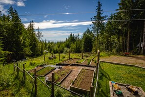 A garden with raised beds and a wheelbarrow.