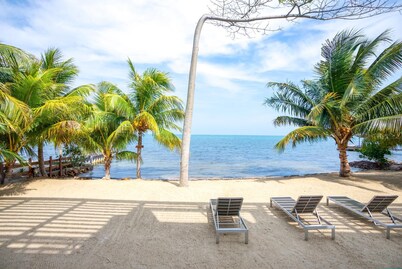 Oceanfront Sunset Gecko Condo -  Second Floor 2A