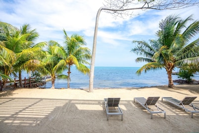 Oceanfront Sunset Gecko Condo - Second Floor 2B