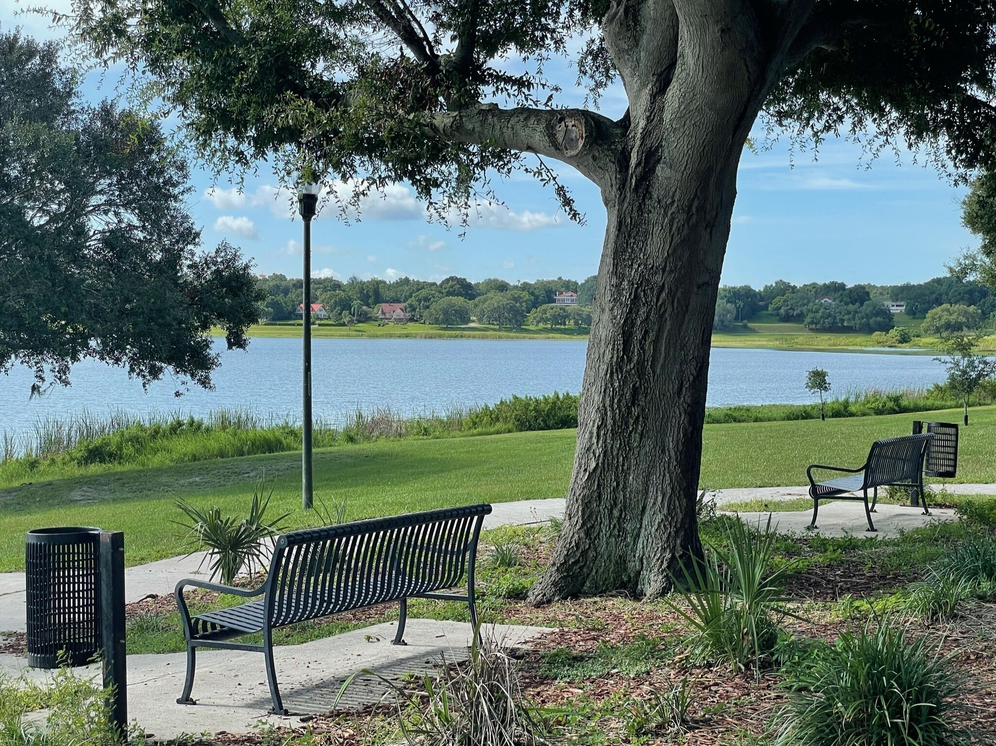 Un banco de parque cerca de un árbol grande con vista a un lago y una casa a lo lejos.