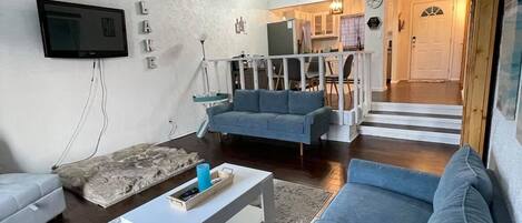 Smart TV, fireplace, books