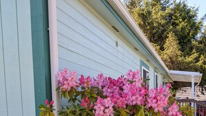 A house with a pink flowering tree in front. - CLEAN Beach Cottage + Beach Path! (Grayland)
