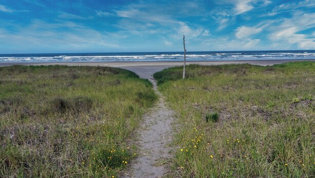 A coastal path leading to the beach with a clear sky. - CLEAN Beach Cottage + Beach Path! (Grayland)