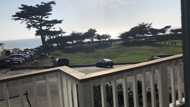 Une vue sur la côte, avec des voitures garées, une zone herbeuse et des arbres.