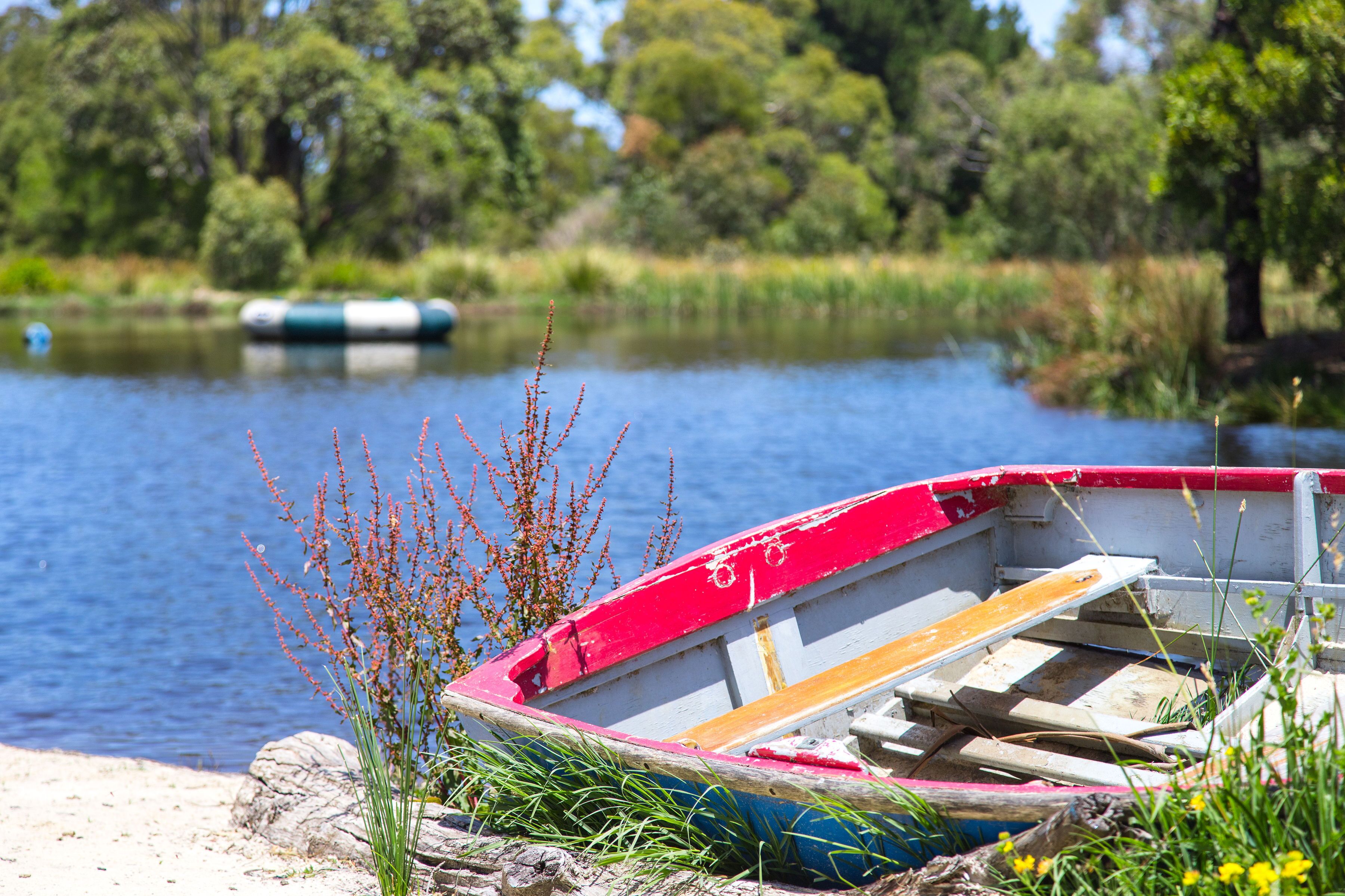 A small, red and white rowboat with a wooden seat, docked at a sandy shore with a calm body of water and greenery in the background.