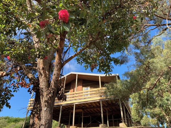 A rustic wooden cabin with a balcony, surrounded by lush greenery and trees.