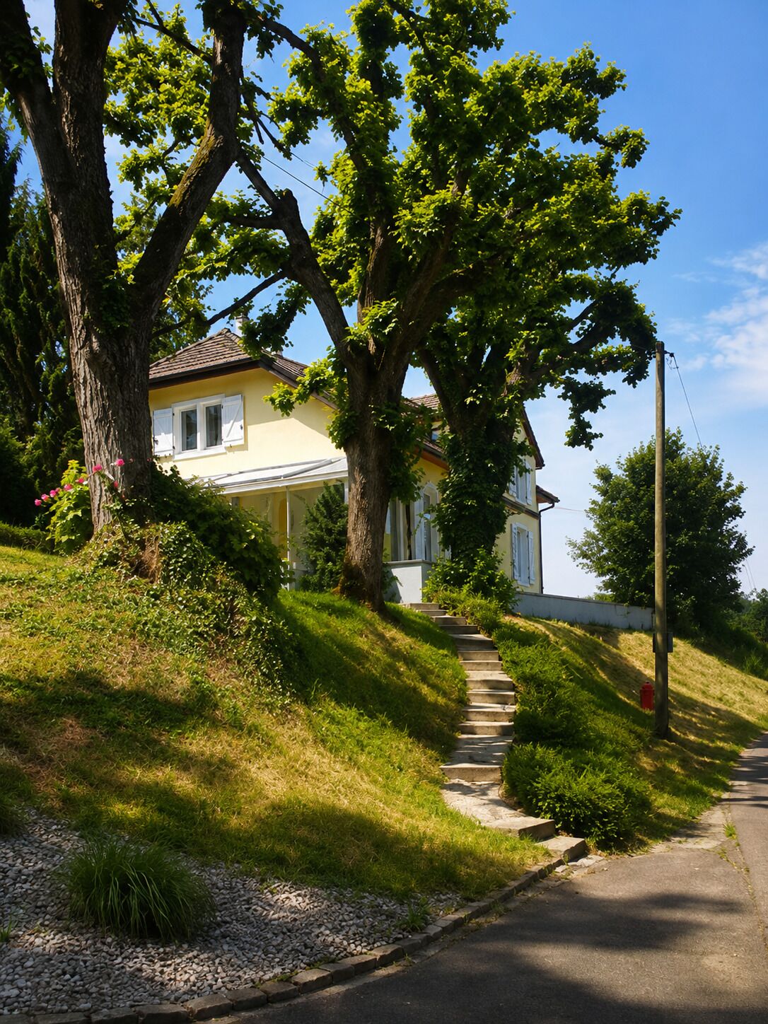 Ein Wohnhaus mit geneigtem Auffahrtsweg, einer sichtbaren Haustür und einem großen Baum im Vordergrund.