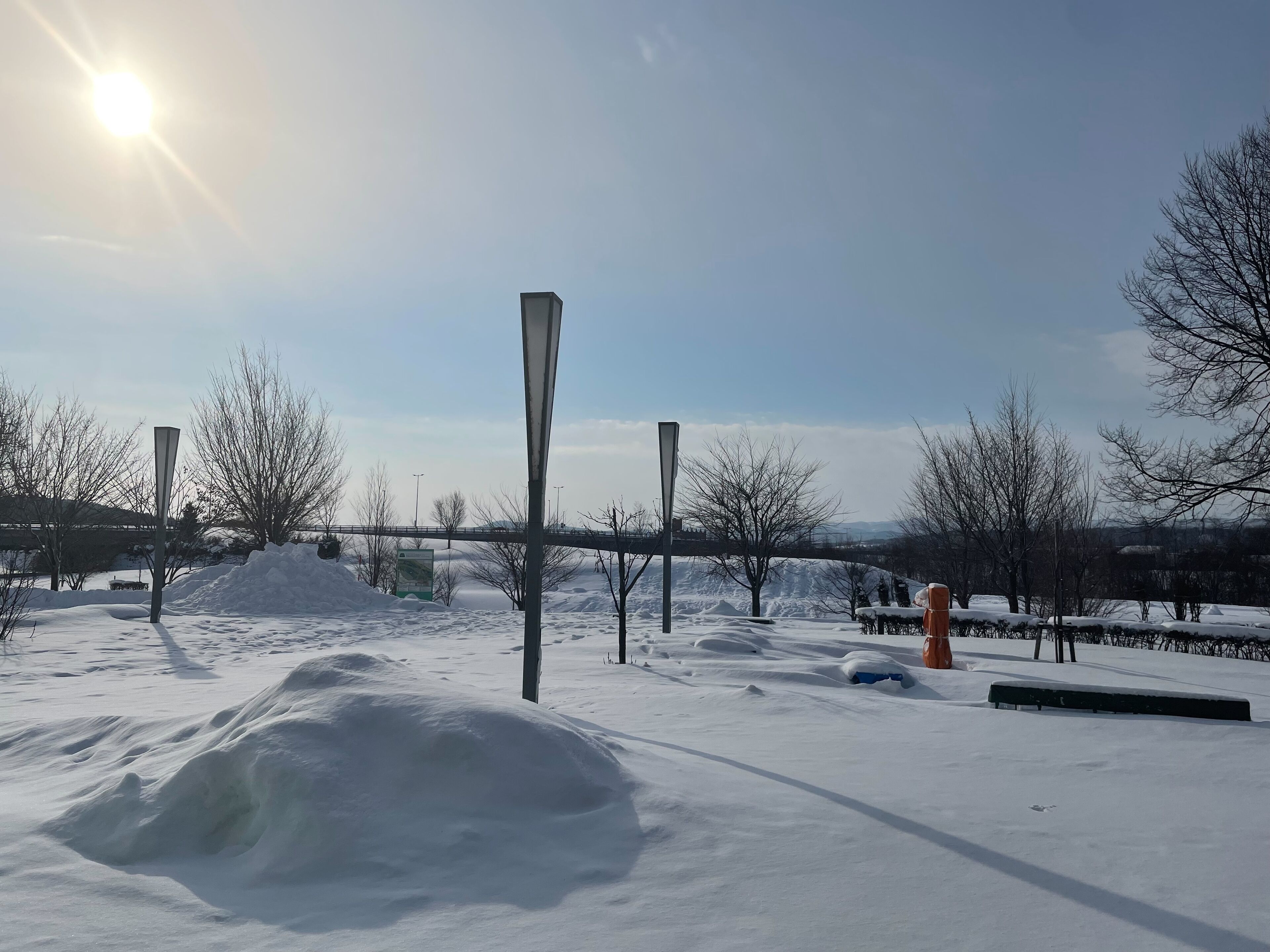 A snowy outdoor area with street lamps and a bridge in the background.