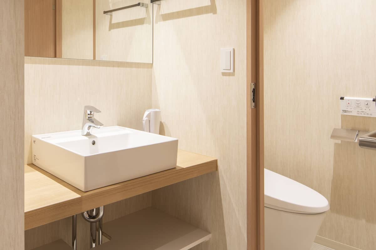 free toiletries, hair dryer, slippers, electronic bidet