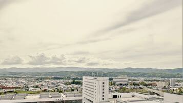 Standard Double Room, Non Smoking | View from room