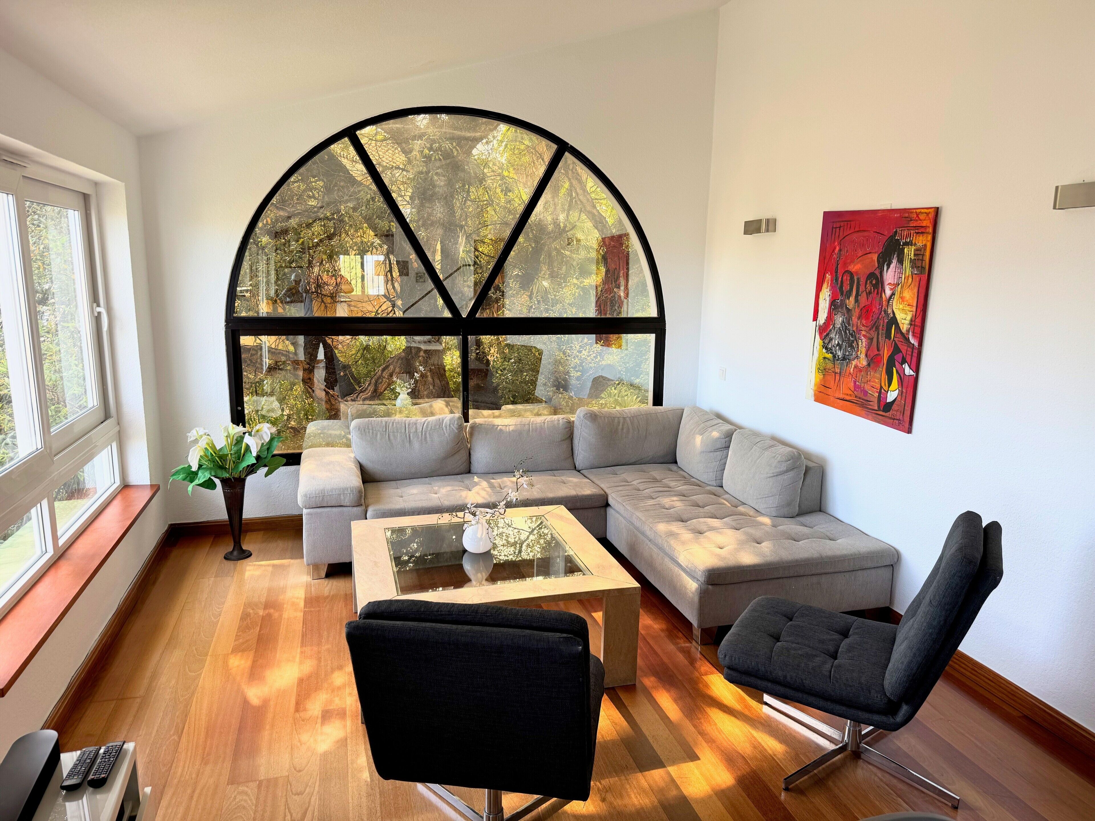 Televisión, videojuegos, reproductor de DVD, mesa de ping pong