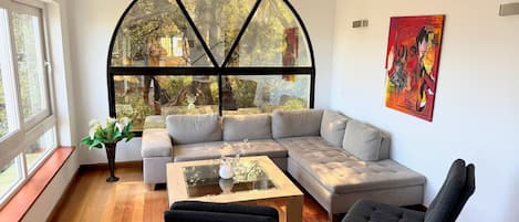 Televisión, videojuegos, reproductor de DVD, mesa de ping pong