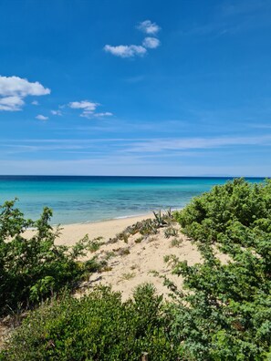 Beach nearby, sun-loungers, beach towels - Beautiful villa near Torre Ovo, 800 meters from the sea.  (Monacizzo-librari-truglione)