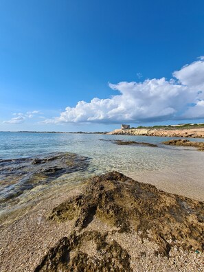 Plage à proximité, chaises longues, serviettes de plage