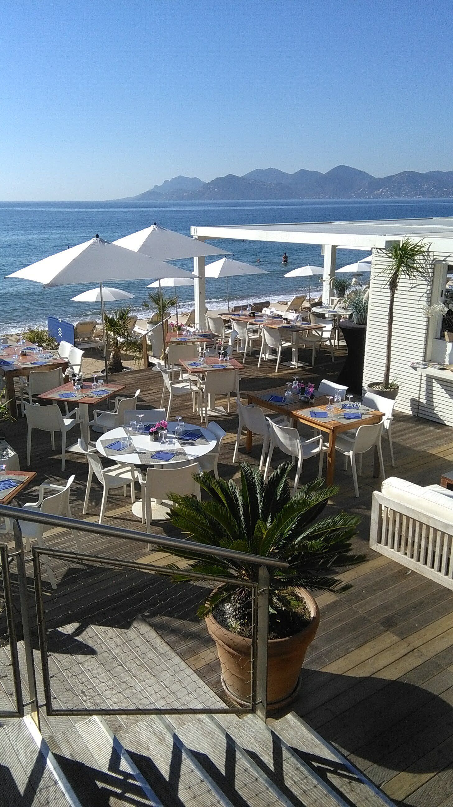 تناول الطعام بالخارج