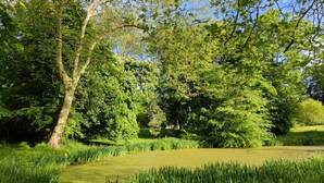 A serene park with lush greenery, a pond, and trees providing shade.