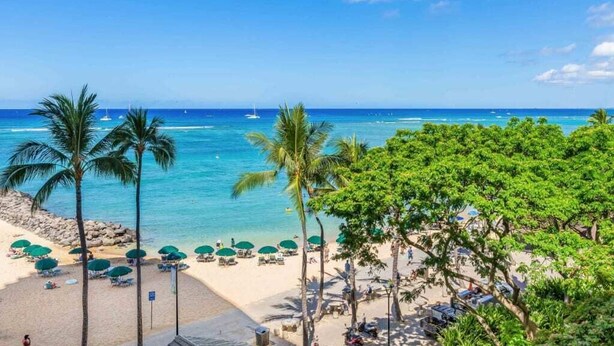A beach with palm trees, umbrellas, and a clear blue sky.