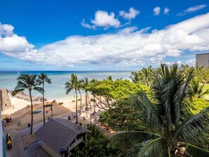 A beach view with palm trees and a clear sky.