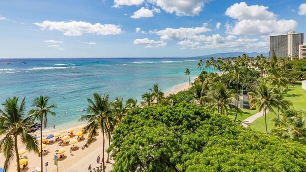 A beach with palm trees, a clear sky, and a view of the ocean. - Modern Ocean View W/Lanai and A/C - Waikīkī Shore #704 (HONOLULU)