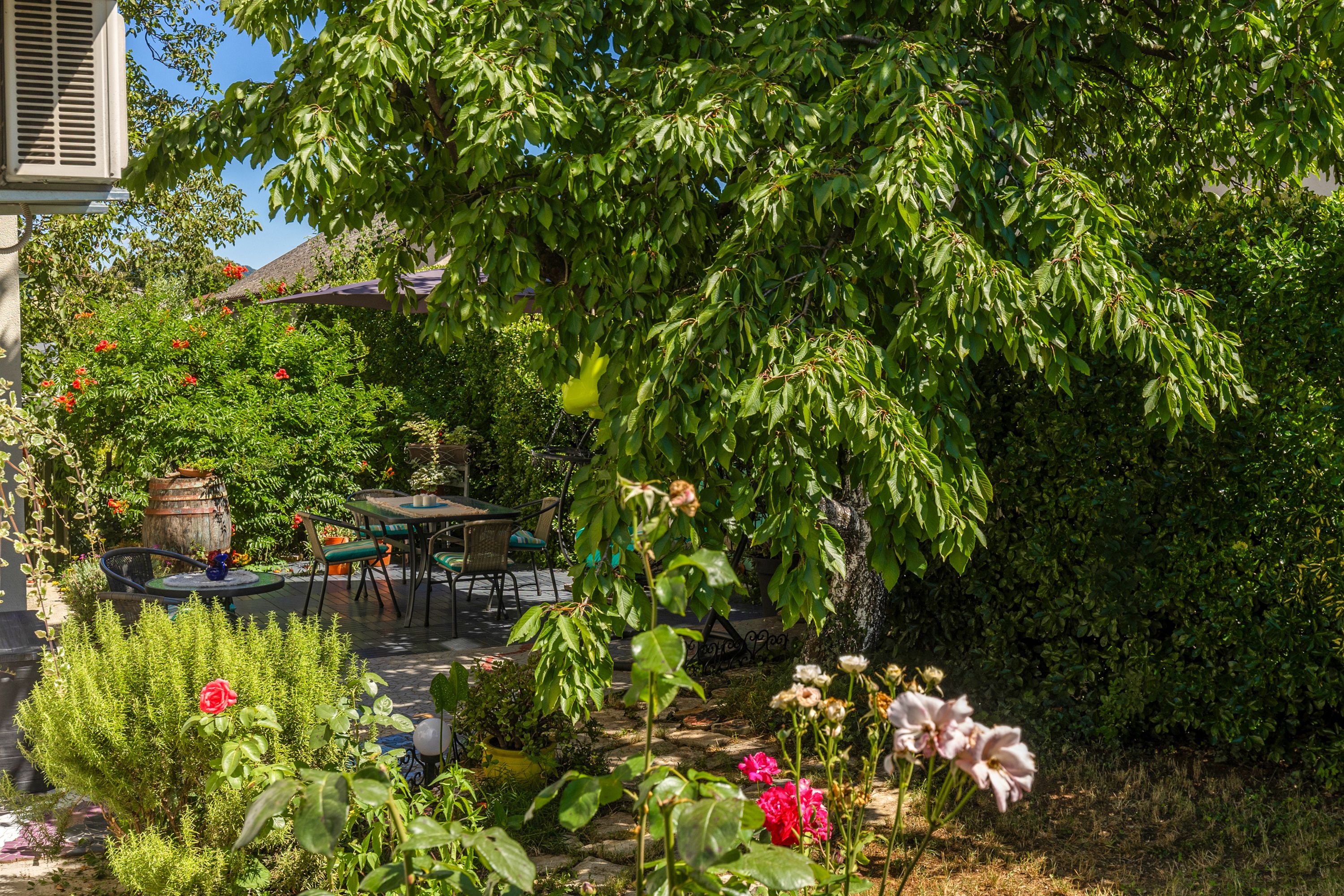 Un jardin avec un chemin en pierre, des plantes en pot et une table entourée de chaises.