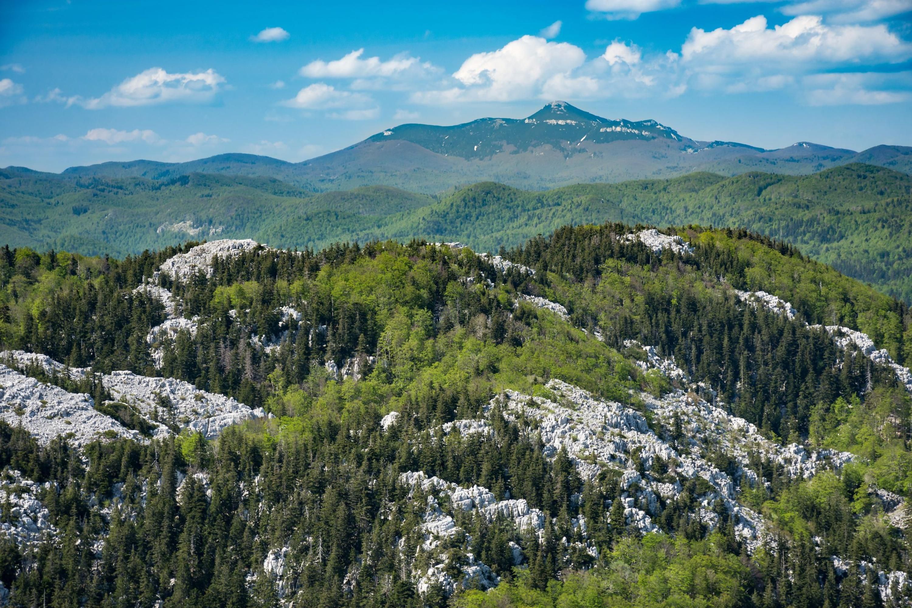 A mountainous landscape with dense forests and rocky terrain.