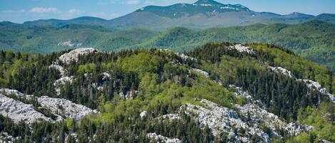 A mountainous landscape with dense forests and rocky terrain.