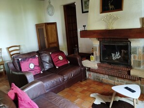 TV, fireplace, DVD player