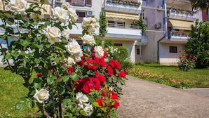 Detalle del exterior