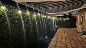 Une terrasse extérieure couverte, avec un chemin en briques, un élément décoratif aquatique et une rangée de lumières disposées à intervalles réguliers le long du mur.