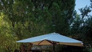 An outdoor patio with a wooden table and chairs under a large umbrella, surrounded by potted plants and a stone pathway.