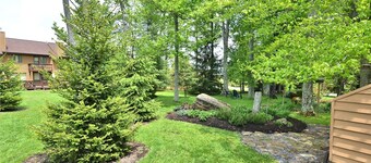 Lovely home in the center of Canaan Valley offers unlimited outside activity!