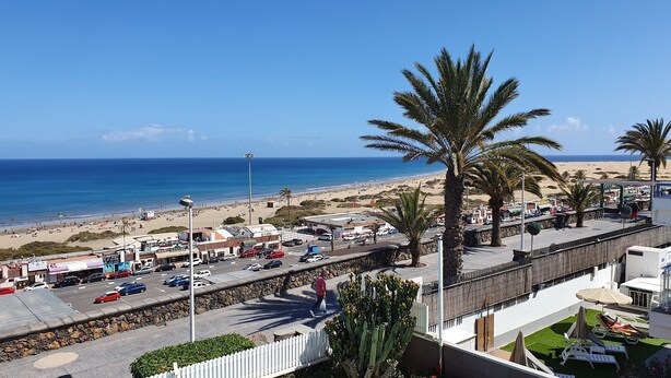 A coastal town with a beach, palm trees, and a road with cars.