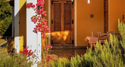 Cosy cottage with large veranda and garden with hammock near the beach.