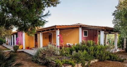 Cosy cottage with large veranda and garden with hammock near the beach.