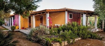 Cosy cottage with large veranda and garden with hammock near the beach.