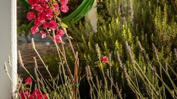 Terrain de l’hébergement