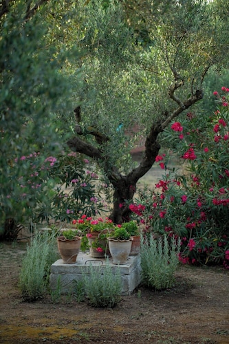 Cosy cottage with large veranda and garden with hammock near the beach.