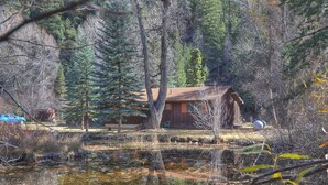 Une cabane entourée d’arbres, près d’un étang.