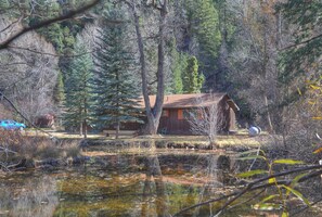 A cabin surrounded by trees and a pond.