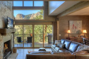 Smart TV, fireplace, DVD player, books