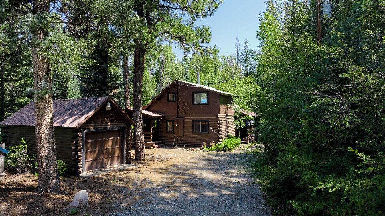 Une cabane avec une allée en gravier, entourée d’une forêt dense.