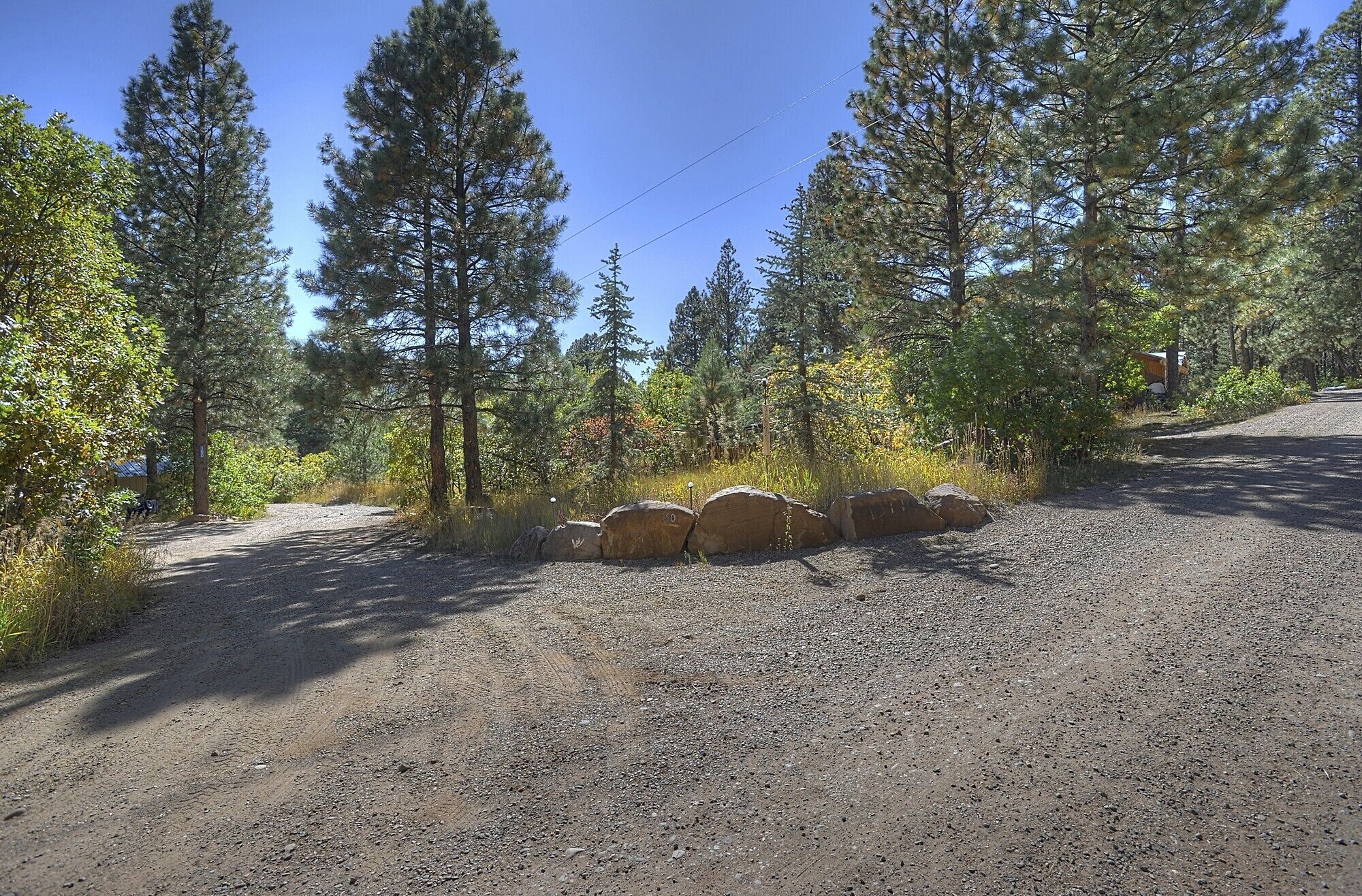 A gravel road surrounded by tall pine trees and a stone wall.