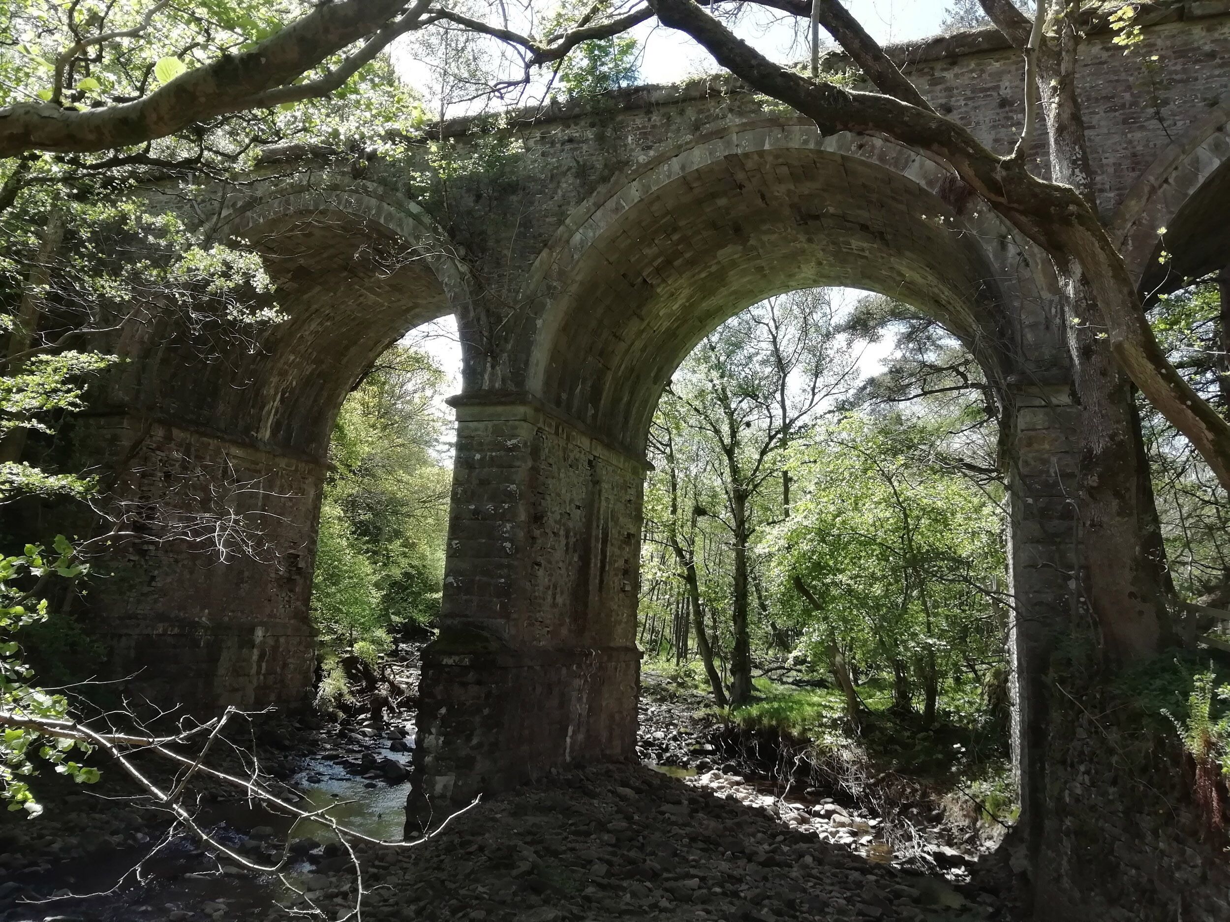 Feriehus | Overnatningsstedets område