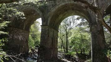 Feriehus | Overnatningsstedets område