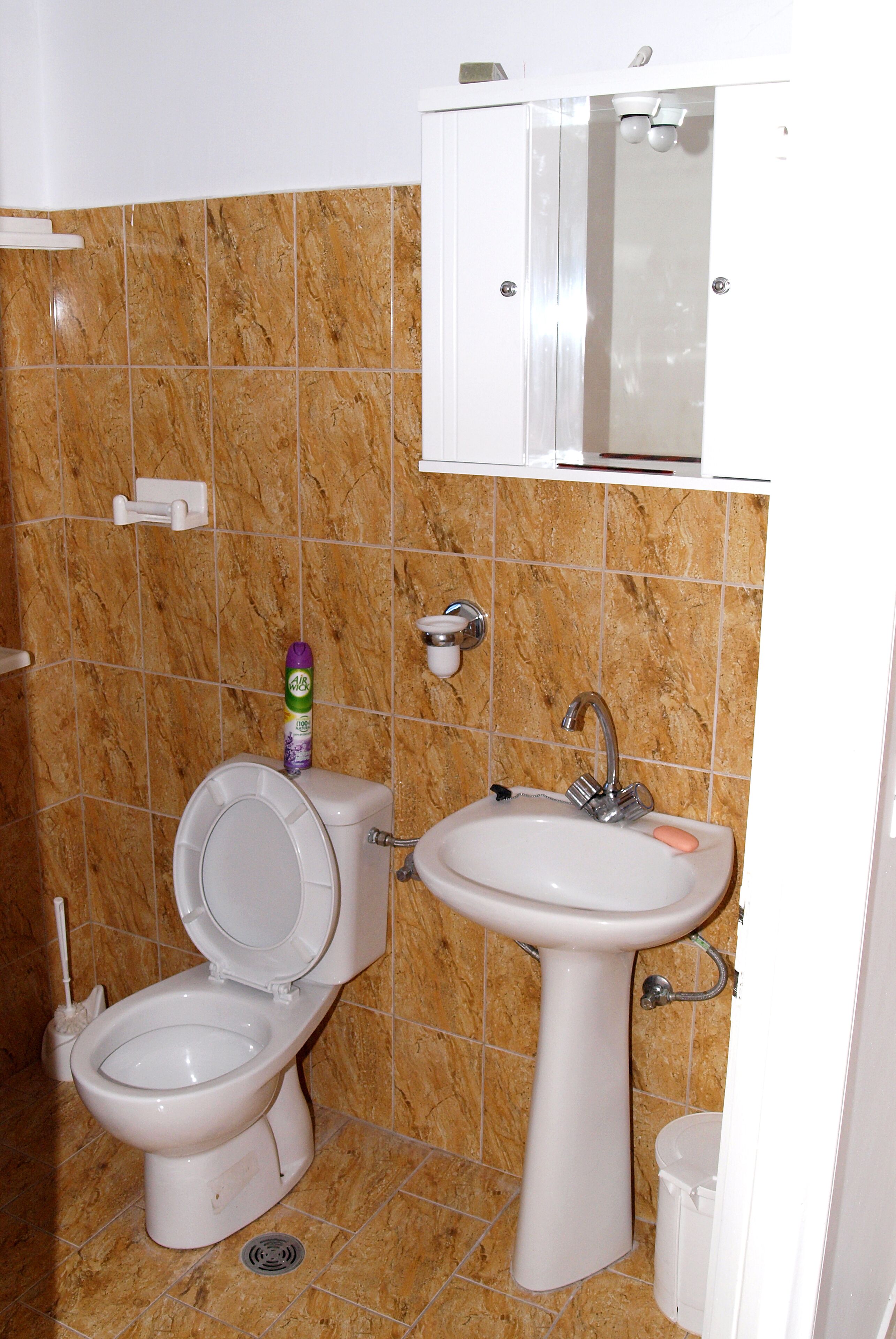 A bathroom with a toilet, sink, and a cabinet above the sink.