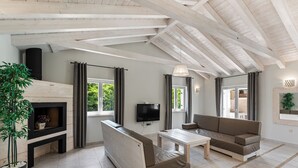 Un salon moderne avec une cheminée, un canapé, un téléviseur et un coin repas.