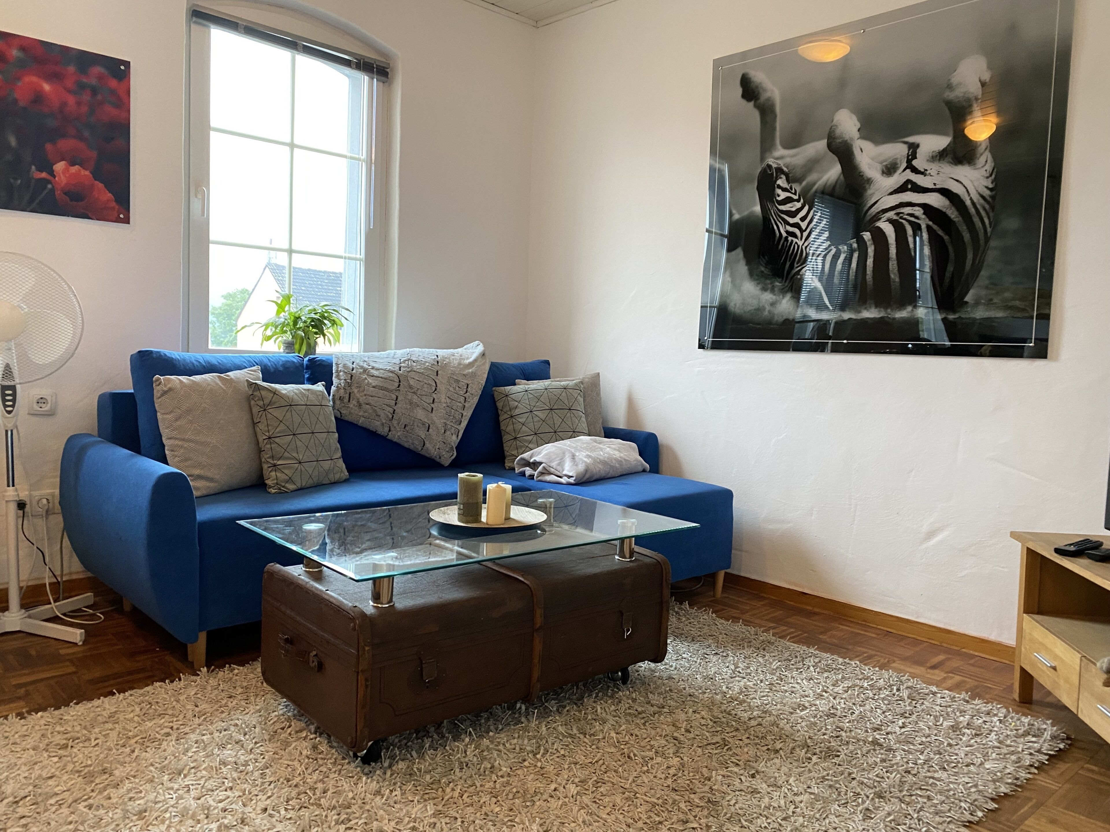 Smart TV, libros, oficina