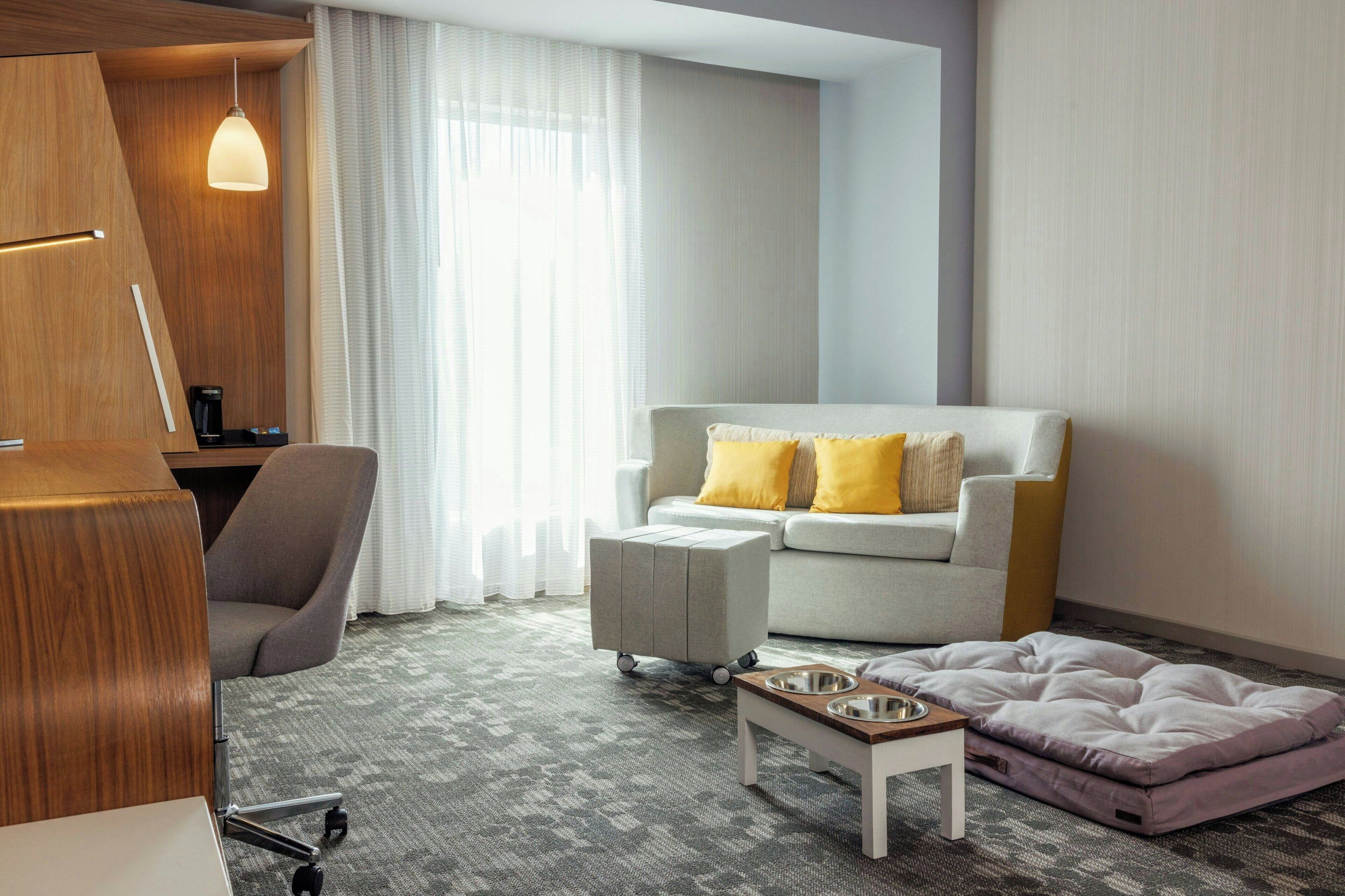 A modern hotel room with a grey sofa, a grey armchair, a small ottoman, a pet bed, and a coffee machine on a desk.